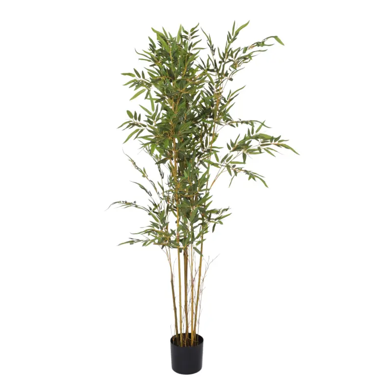 Бонсай BAMBOO LEAF TREA, 150см фотография