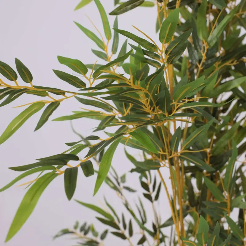 Бонсай BAMBOO LEAF TREA, 150см_preview_4